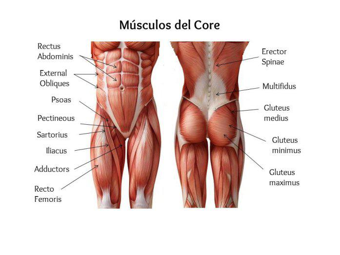 Anatomía del Core