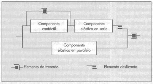 Pliometría - Modelo mecánico de Hill